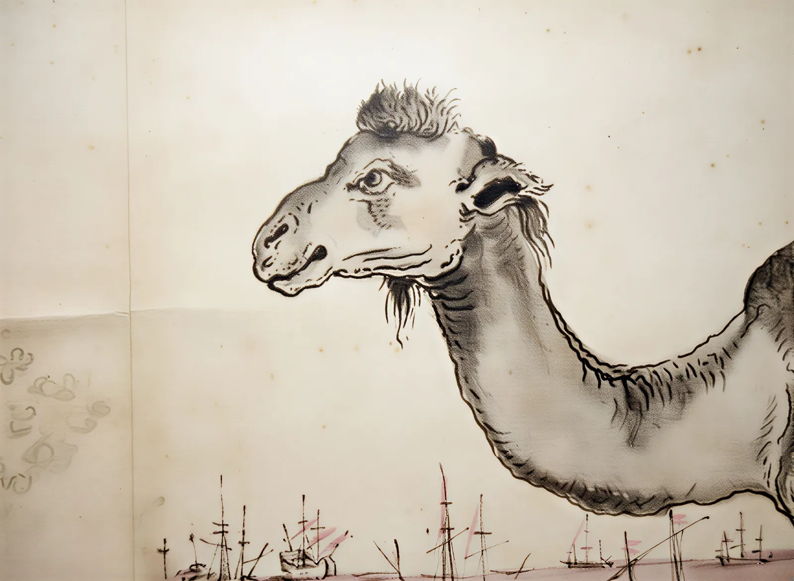 Camelus: L'Art de l'Insolite