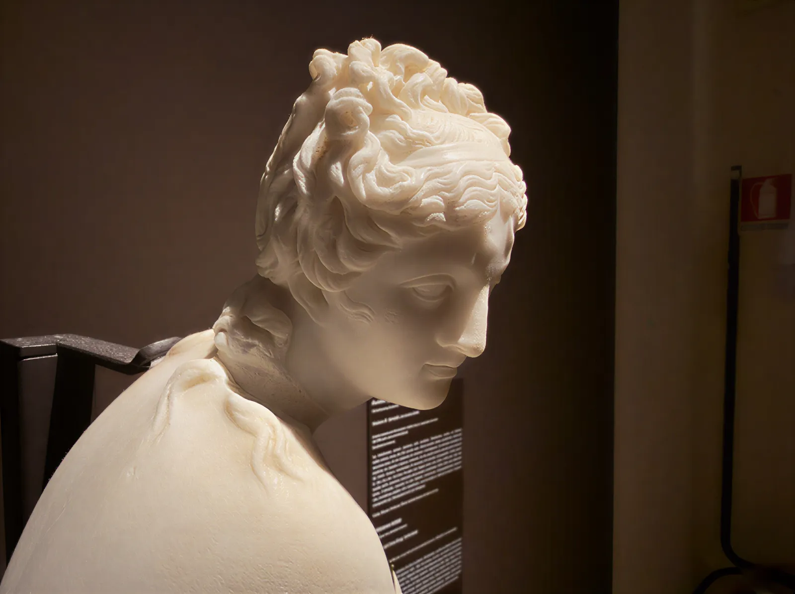 Élégance Renaissance Capturée